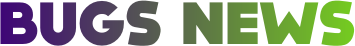 bugsnews